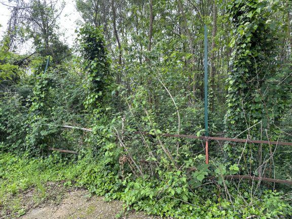 immobile terreno all'asta in Corso Giuseppe Garibaldi, 13045 Gattinara VC, Italia Gattinara, Vercelli - 5
