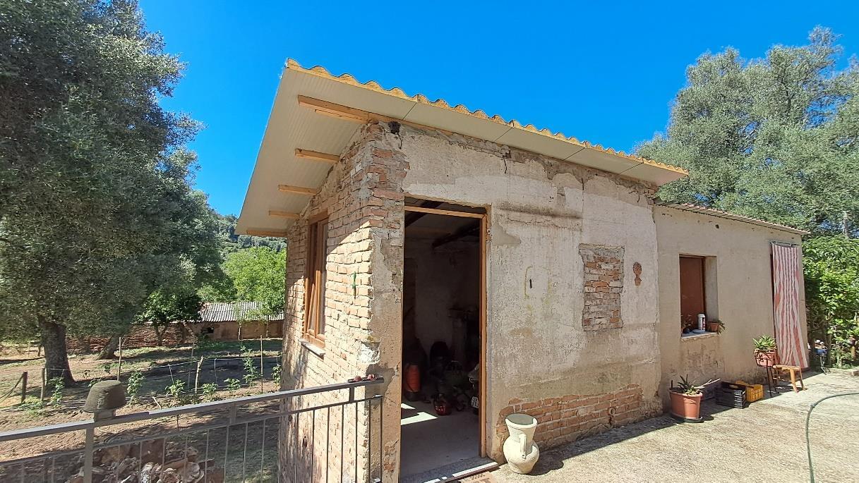 immobile terreno all'asta in contrada San Basilio - Feroleto della Chiesa (RC) - 1