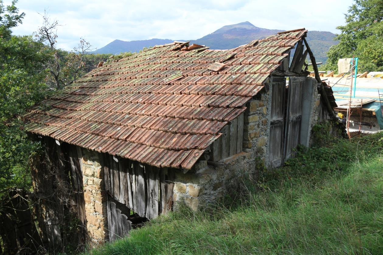 immobile terreno all'asta in Loc Moglia - 29026 Ottone (PC) - 3