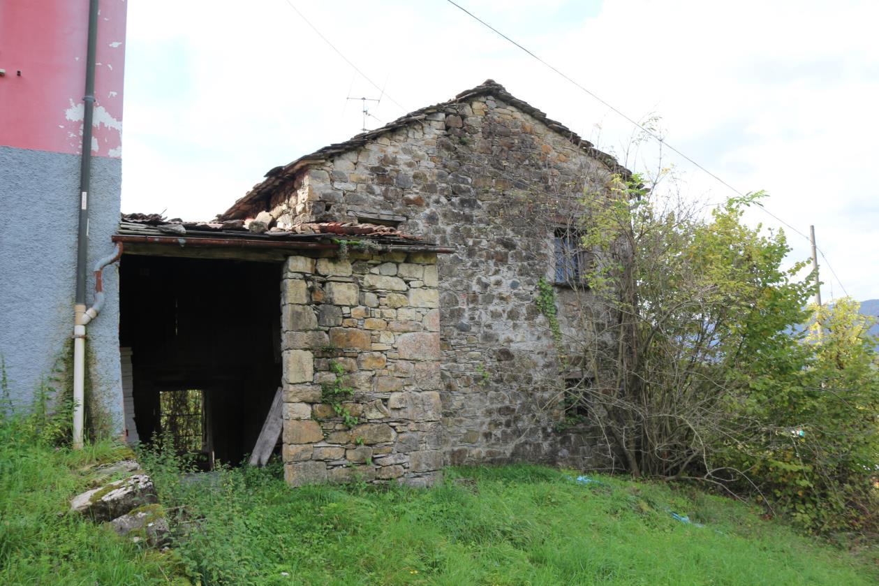 immobile terreno all'asta in Loc Moglia - 29026 Ottone (PC) - 2