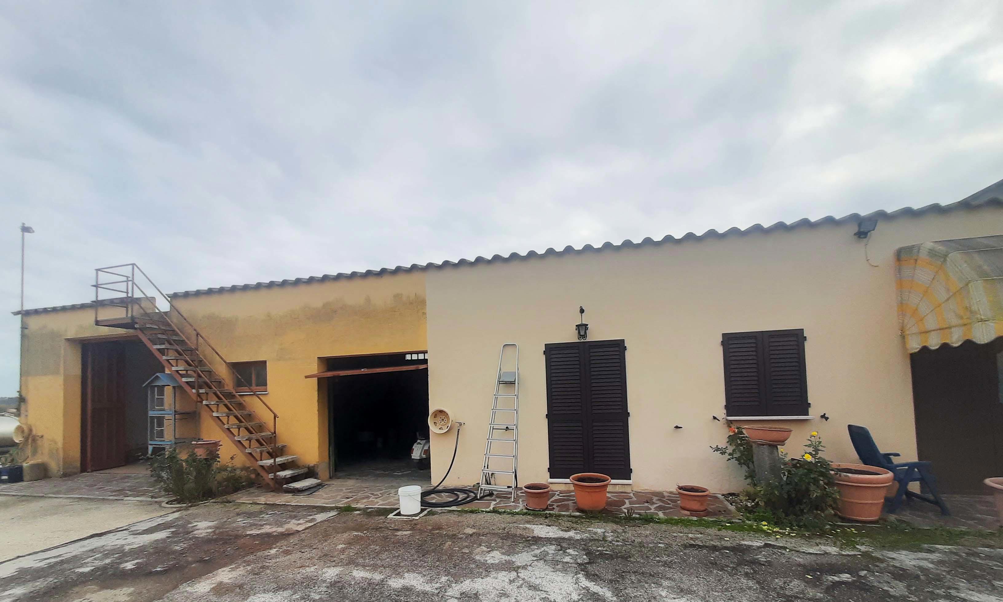 immobile magazzino all'asta in Via Metauro snc - 61030 Cartoceto (PU) - 5