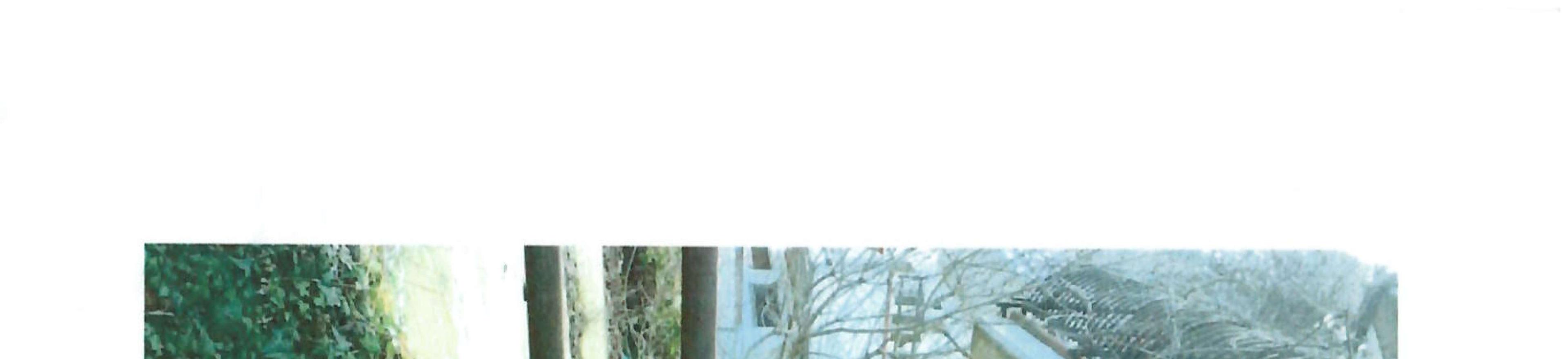 immobile magazzino all'asta in Via San Marco snc - 83010 Sant'Angelo a Scala (AV) - 1