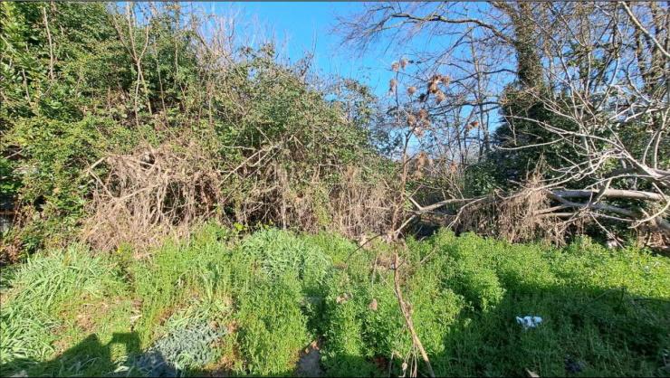 immobile appartamento all'asta in Via Ronchegalli, 256 - 45033 Bosaro (RO) - 2