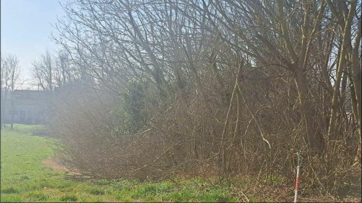 immobile appartamento all'asta in Via Ronchegalli, 256 - 45033 Bosaro (RO) - 5
