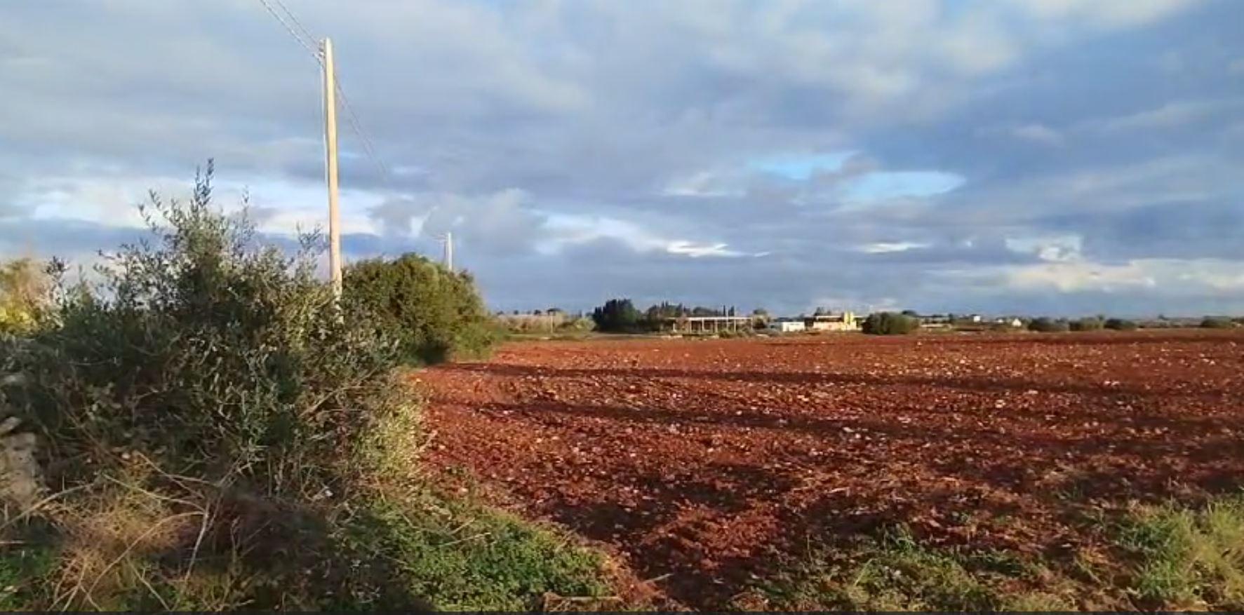 immobile terreno all'asta in 73031 Alessano (LE) - 1