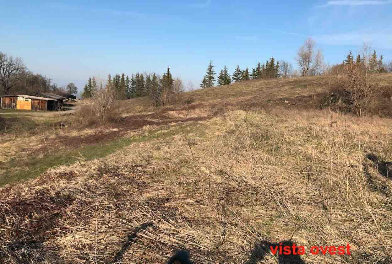 immobile terreno all'asta in LocalitĂ Boffalora - Gazzola (PC) - 1