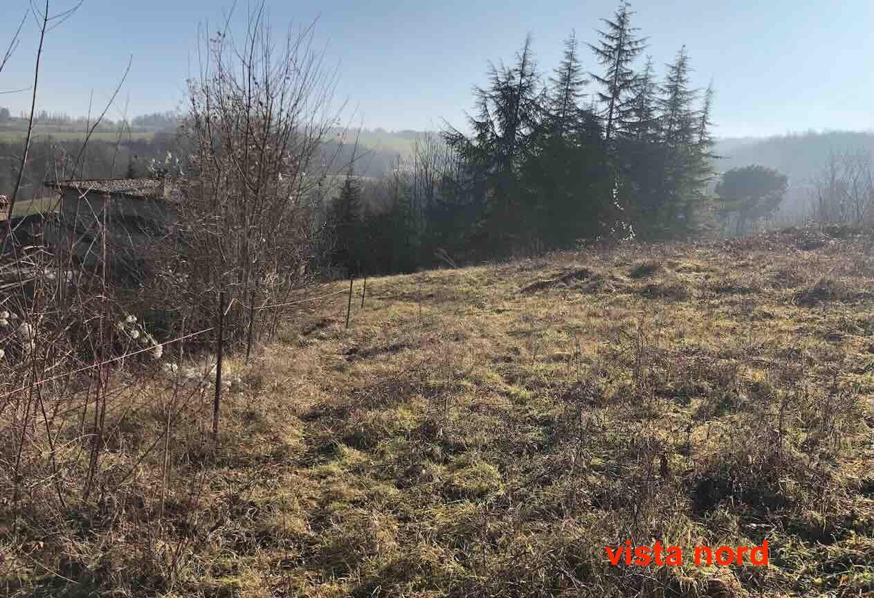 immobile terreno all'asta in Località Rezzanello - Gazzola (PC) - 1