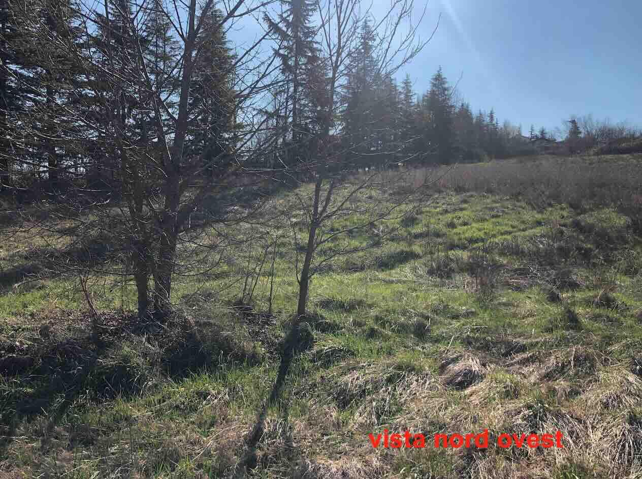 immobile terreno all'asta in Località Boffalora - Gazzola (PC) - 1