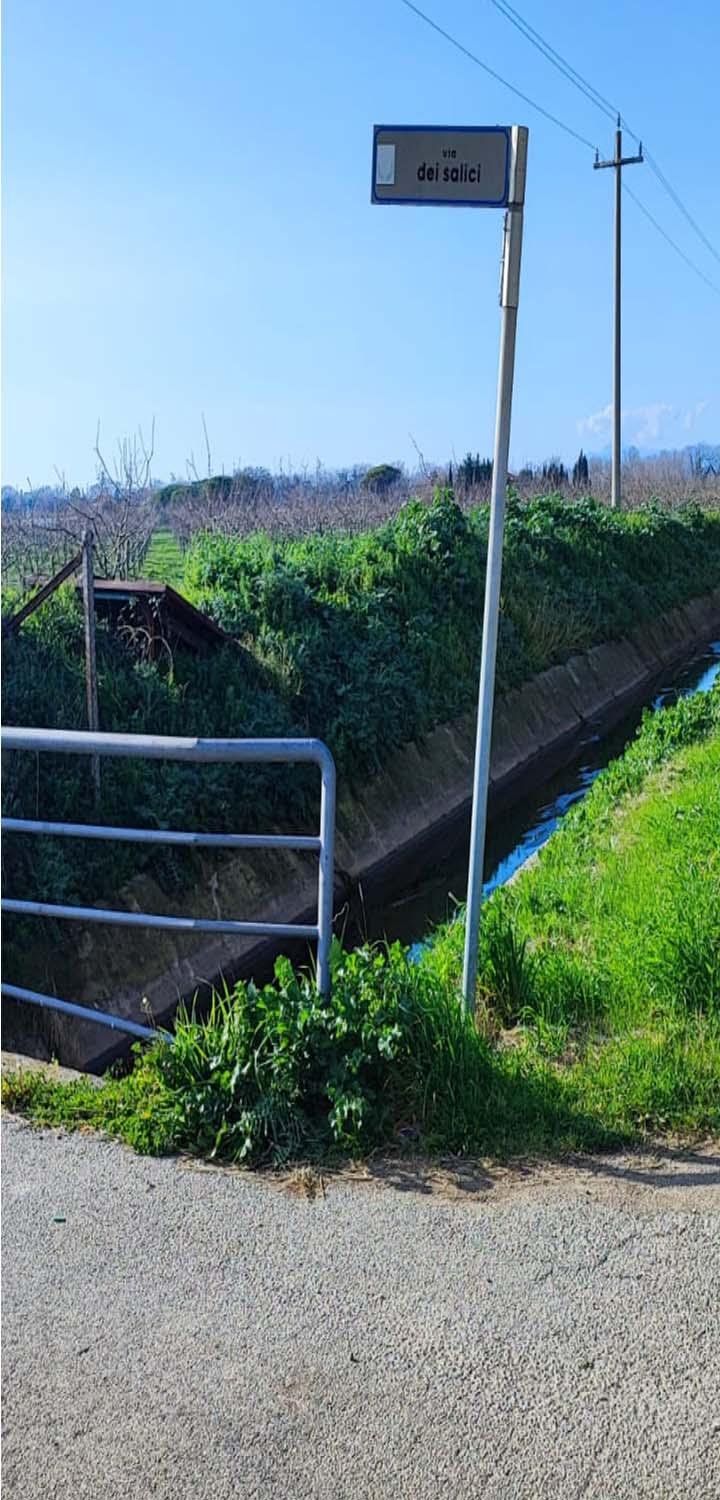 immobile terreno all'asta in Via Dei Salici snc - 84047 Capaccio Paestum (SA) - 1