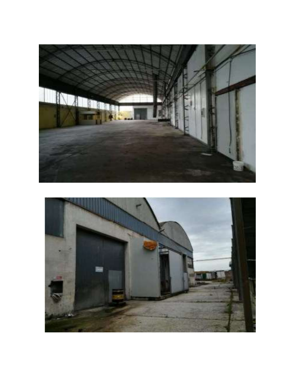 immobile attivita commerciale all'asta in strada bonica del Tronto - 64010 Ancarano (TE) - 5