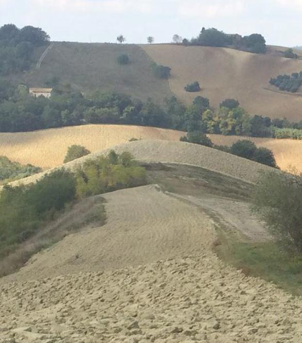 immobile terreno all'asta in Località Tosciano  - 63065 Ripatransone (AP) - 1