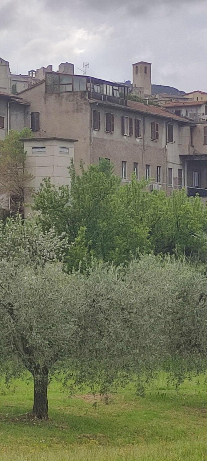 immobile appartamento all'asta in Strada Tre Ponti, 8 - 05035 Narni (TR) - 2