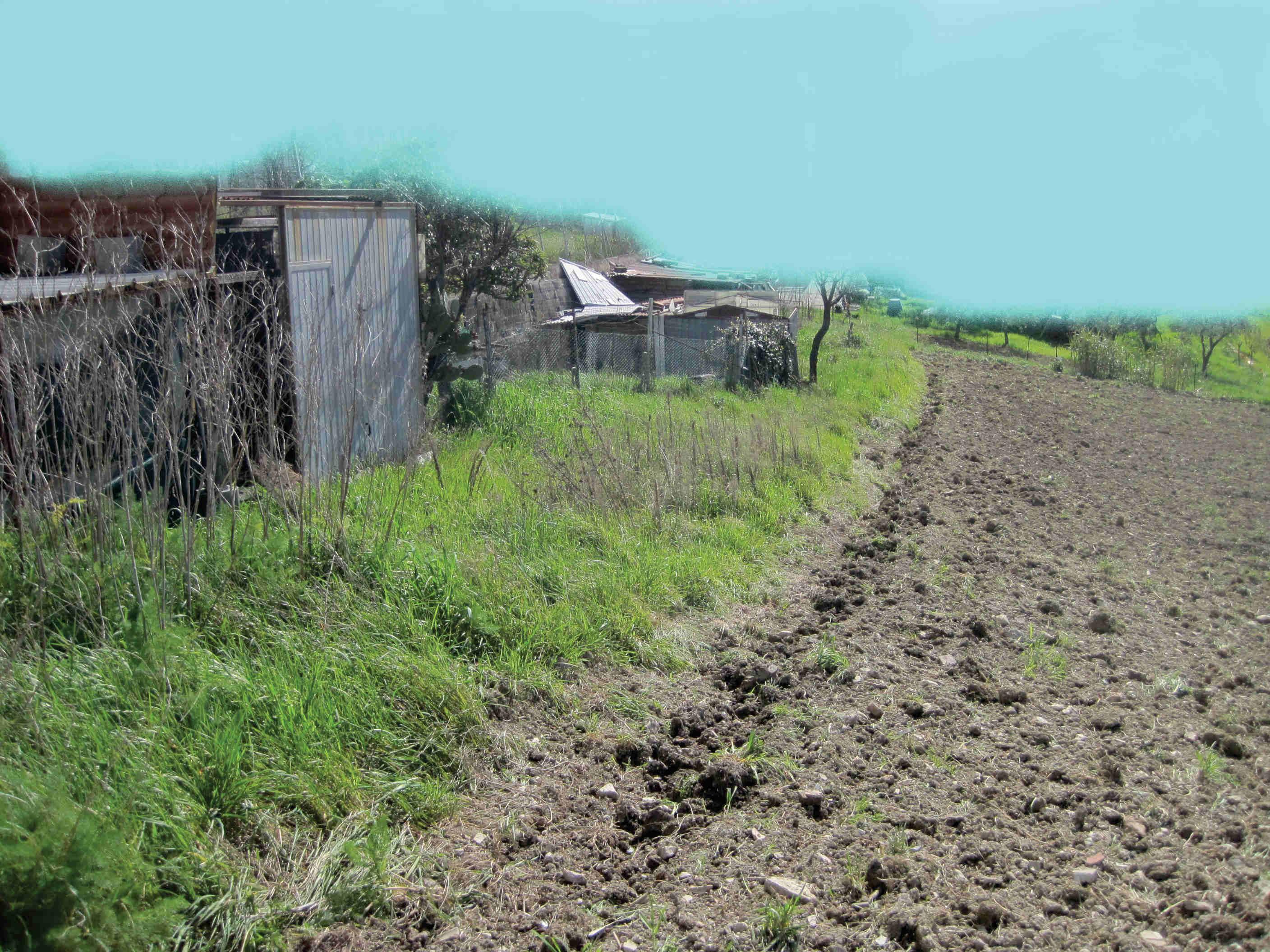 immobile terreno all'asta in Via nd - 61040 Mondavio (PU) - 1