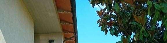 immobile appartamento all'asta in Via Rino Bigi, 2, 52028 Terranuova Bracciolini AR, Italia Terranuova Bracciolini, Arezzo - 3
