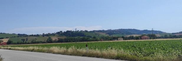 immobile terreno all'asta in Frazione Villa Musone snc - 62019 Recanati (MC) - 1
