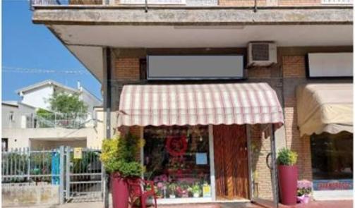 immobile negozio all'asta in Via Tavoleto, 67, 47832 Sant'Andrea In Casale RN, Italia - San Clemente (RN) - 1