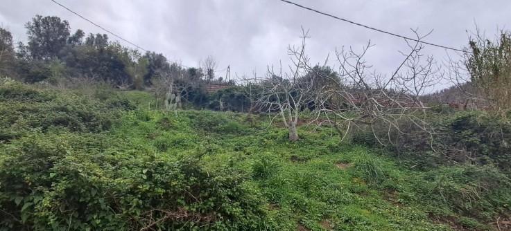 immobile terreno all'asta in localitĂ Tracciolino - 89015 Palmi (RC) - 1