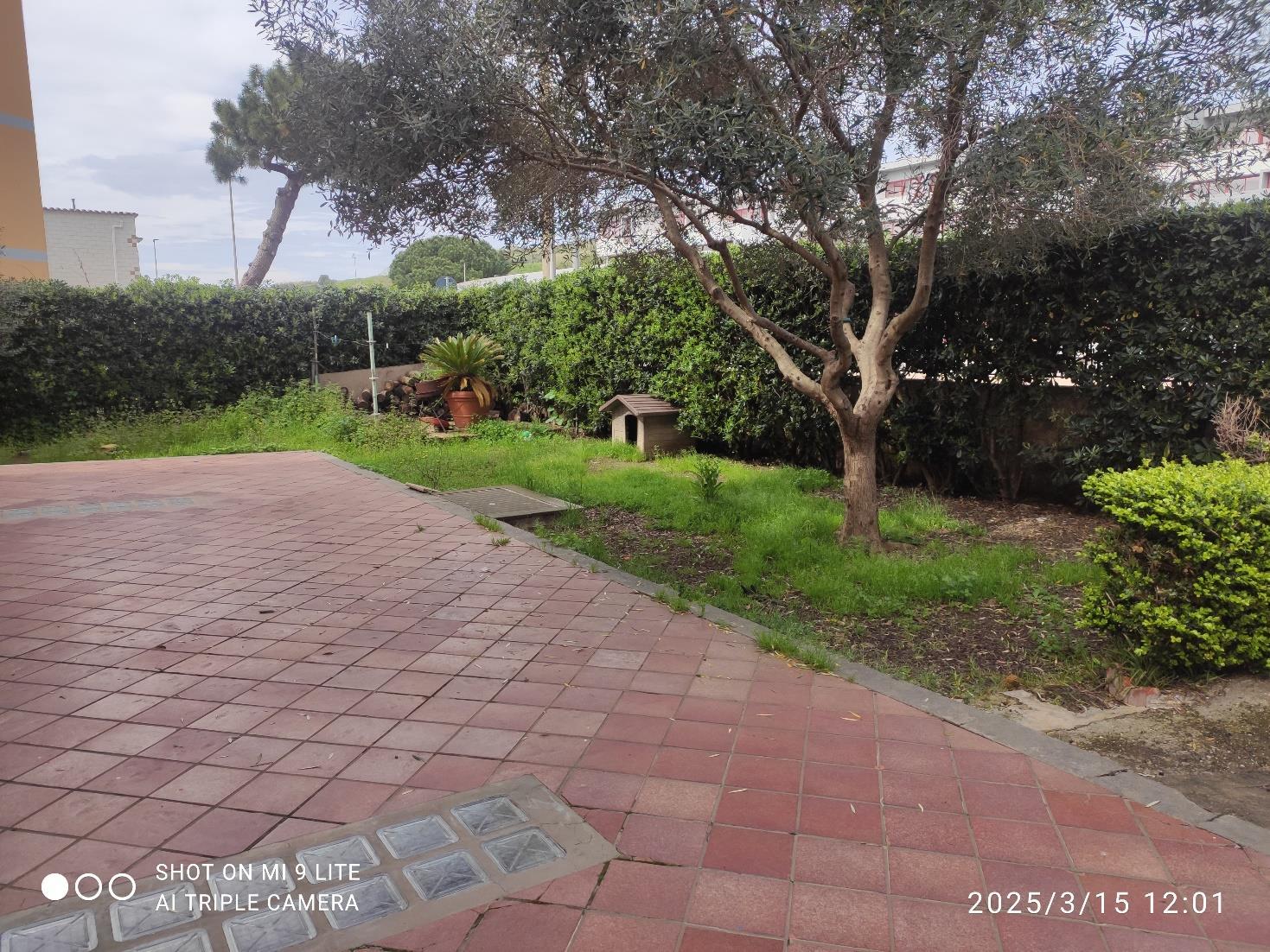 immobile appartamento all'asta in Via delle Colonie, 71, 00058 Santa Marinella RM, Italia Santa Marinella, Roma - 4
