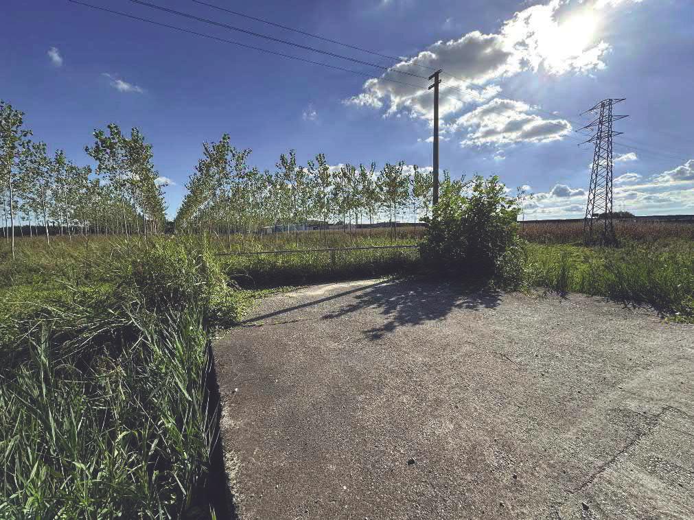 immobile terreno all'asta in Strada Provinciale 39 - 31021 Mogliano Veneto (TV) - 2