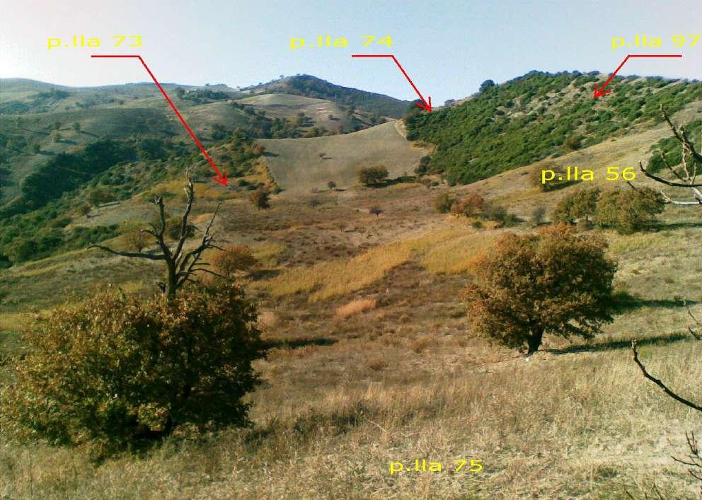 immobile terreno all'asta in contrada “Masseria Falciglia - Cozzo Pisone - 75028 Tursi (MT) - 1