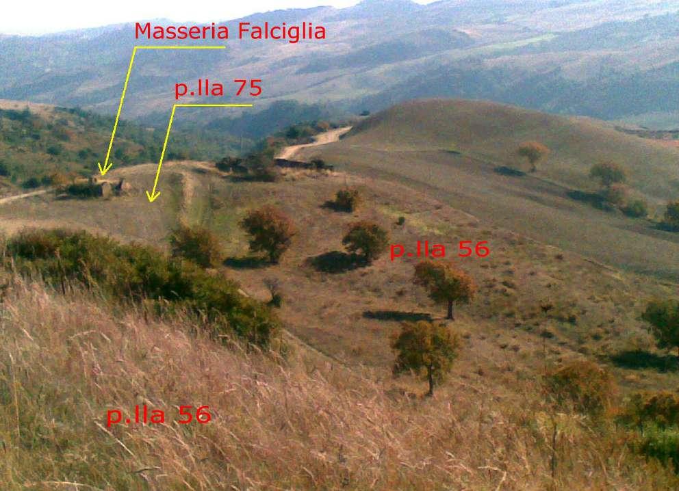 immobile terreno all'asta in contrada “Masseria Falciglia - Cozzo Pisone - 75028 Tursi (MT) - 2