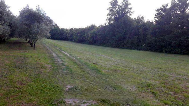 immobile terreno all'asta in - Rodengo Saiano (BS) - 1