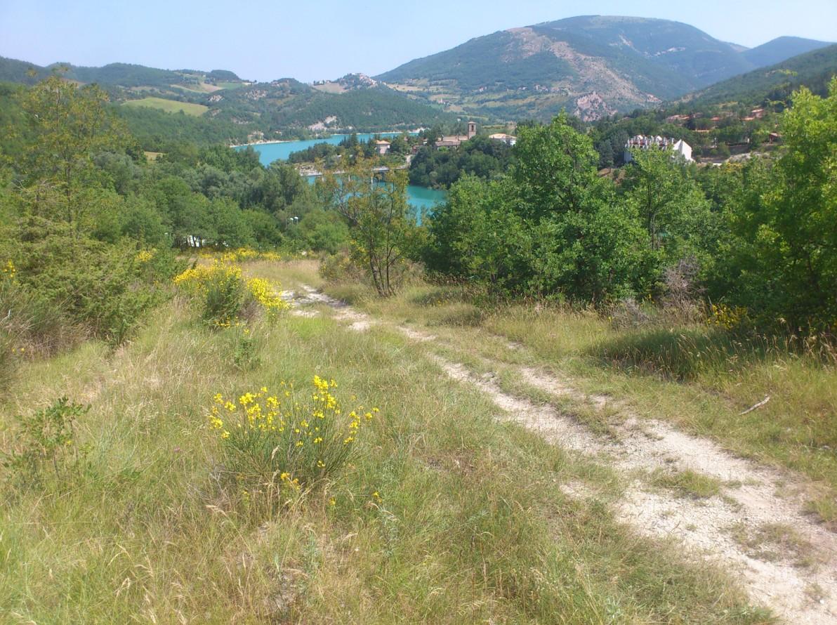 immobile terreno all'asta in Comune di Fiastra Monte Coglia - 62035 Fiastra (MC) - 3
