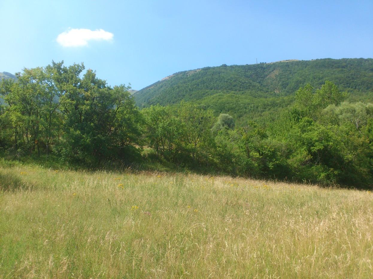 immobile terreno all'asta in Comune di Fiastra Monte Coglia - 62035 Fiastra (MC) - 4