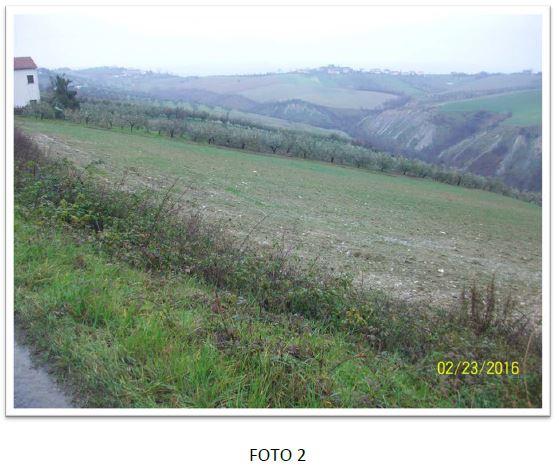 immobile terreno all'asta in Contrada Colli Flamminiano Notaresco (TE) - 5