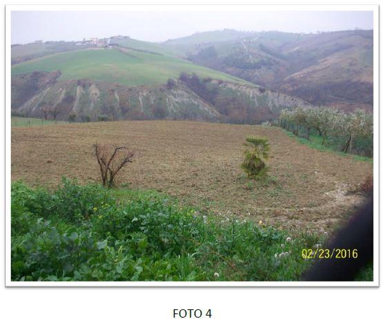 immobile terreno all'asta in Contrada Colli Flamminiano Notaresco (TE) - 4