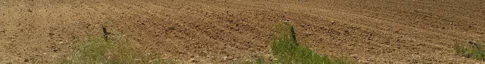 immobile magazzino all'asta in Contrada Farneto - - 87042 Altomonte (CS) - 1