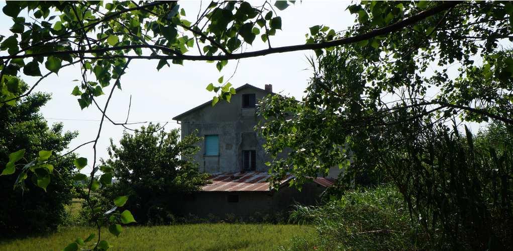 immobile terreno all'asta in Frazione Marotta - Via Sant'Irene 1 - 61037 Mondolfo (PU) - 5