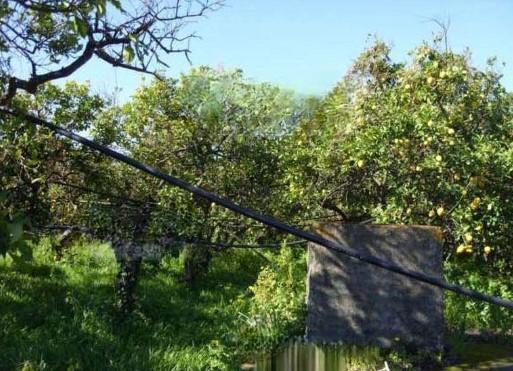 immobile terreno all'asta in via Alatri - Stazzo - 95127 Acireale (CT) - 1