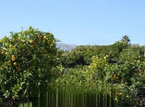 immobile terreno all'asta in via Alatri - Stazzo - 95127 Acireale (CT) - 3