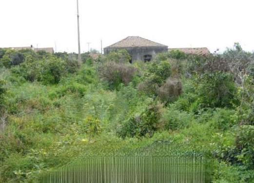 immobile terreno all'asta in strada Provinciale n 2 per Riposto - 95127 Acireale (CT) - 1