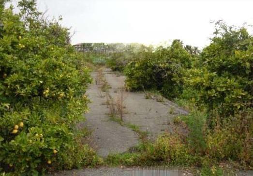 immobile terreno all'asta in strada Provinciale n 2 per Riposto - 95127 Acireale (CT) - 5