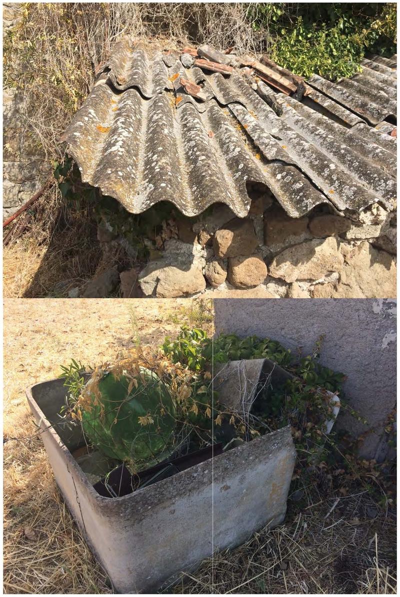 immobile terreno all'asta in Via del Sassone - 00047 Marino (RM) - 2