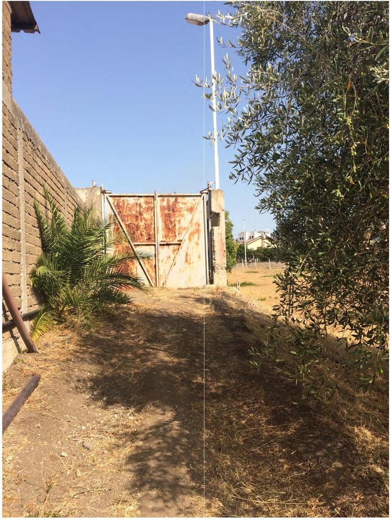 immobile terreno all'asta in Via del Sassone - 00047 Marino (RM) - 5