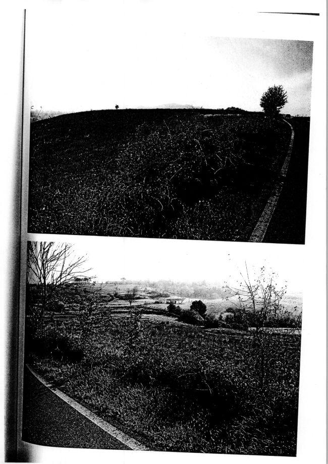 immobile terreno all'asta in località Valle Lucia Gavignano (RM) - 5