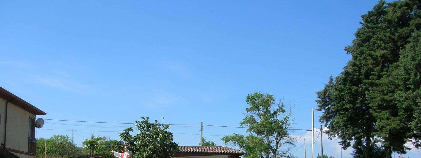 immobile magazzino all'asta in Strada Provinciale 241 - 87019 Spezzano Albanese (CS) - 2