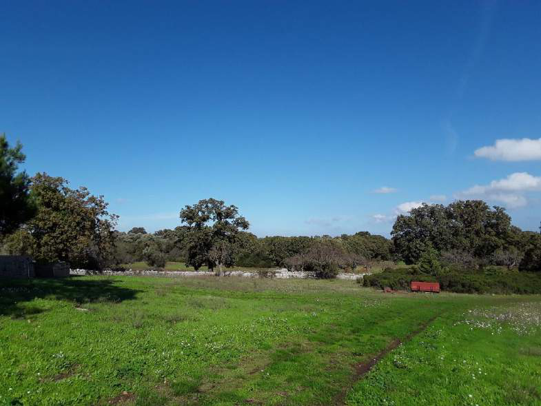 immobile terreno all'asta in - 70043 Monopoli (BA) - 4