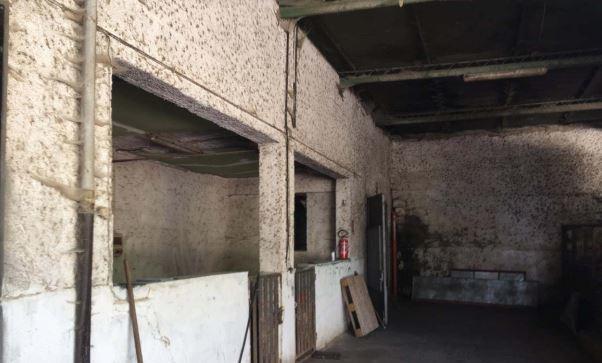 immobile attivita commerciale all'asta in contrada oppido balzata - 83047 Lioni (AV) - 5
