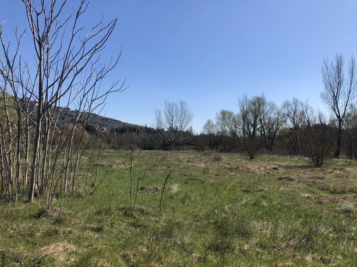 immobile terreno all'asta in Località Tavarnelle - 52044 Cortona (AR) - 1