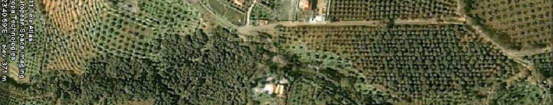 immobile terreno all'asta in Località San Filippo - Feroleto Antico e Pianopoli - 88040 Feroleto Antico (CZ) - 5