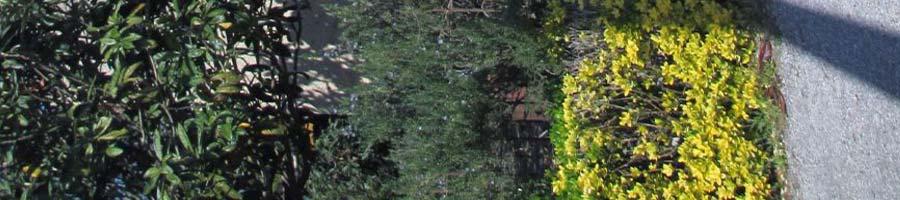 immobile appartamento all'asta in Frazione Galleno - Via dell'Agrifoglio  8 - 50054 Fucecchio (FI) - 2