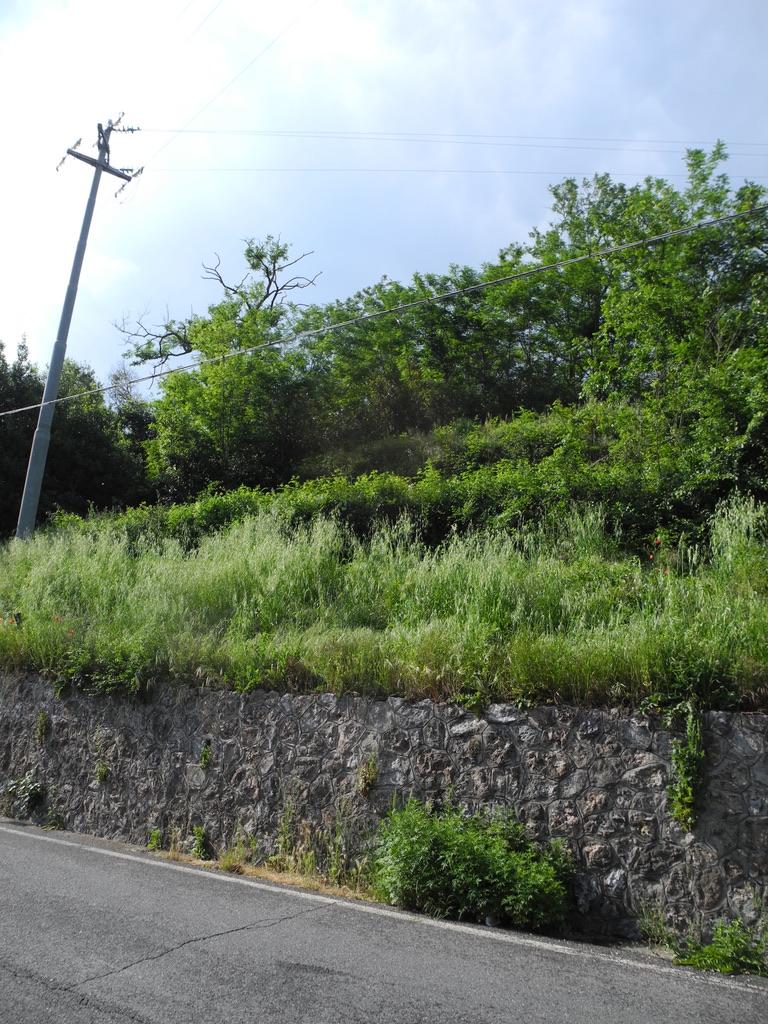 immobile terreno all'asta in Via A Gramsci - 56032 Buti (PI) - 4