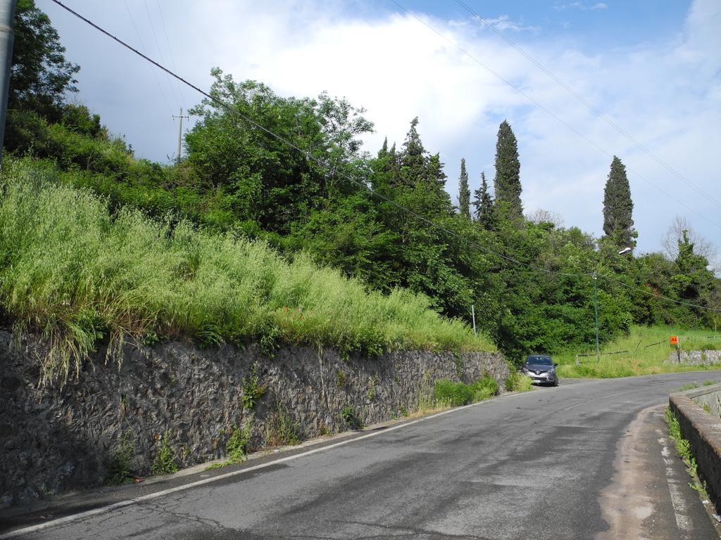 immobile terreno all'asta in Via A Gramsci - 56032 Buti (PI) - 5