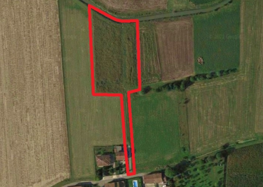 immobile terreno all'asta in via bassa di quattrocase, n snc - 26041 Casalmaggiore (CR) - 1