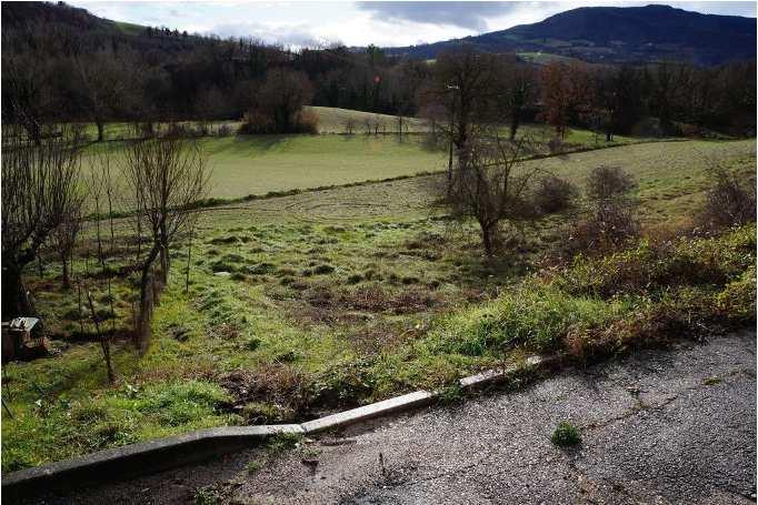 immobile terreno all'asta in Frazione Pantana - Via Foglia snc - 61045 Pergola (PU) - 2