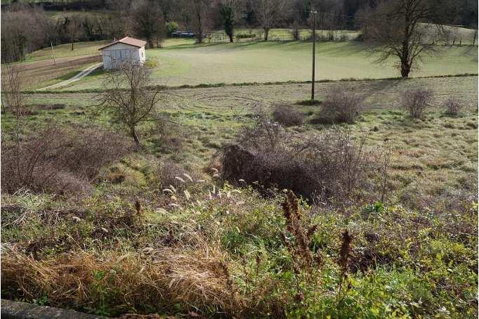 immobile terreno all'asta in Frazione Pantana - Via Foglia snc - 61045 Pergola (PU) - 3